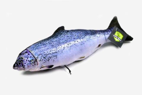 Cuddle Fish Salmon Matatabi