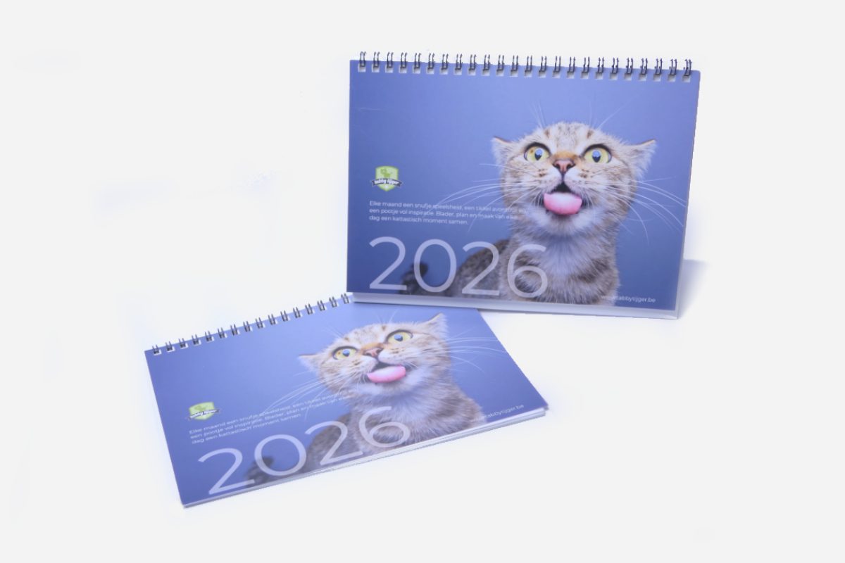 origineel Tabby Tijger file